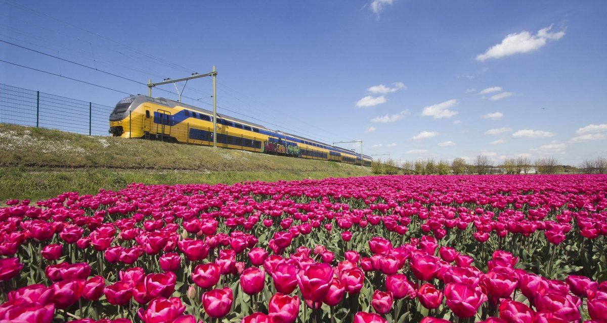 Neste år bare vindkraftdrevne tog i Nederland