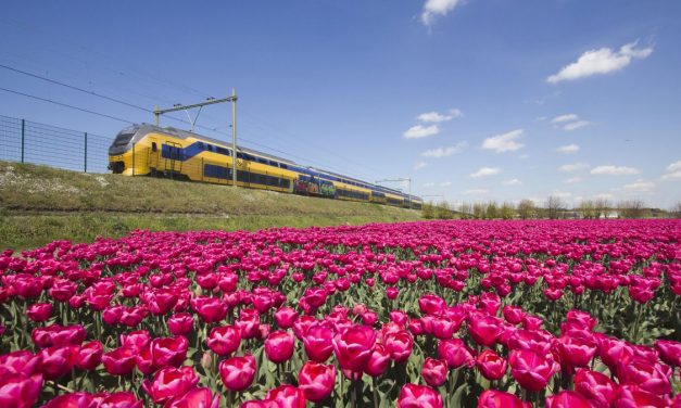 Neste år bare vindkraftdrevne tog i Nederland