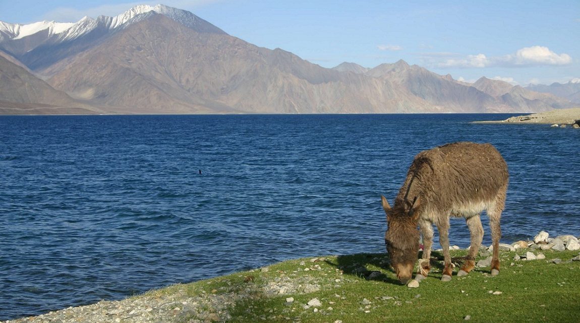 Grenseforhandlinger mellom India og Kina