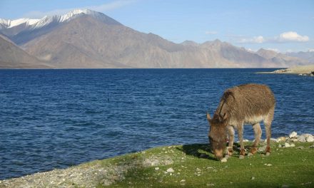 Grenseforhandlinger mellom India og Kina