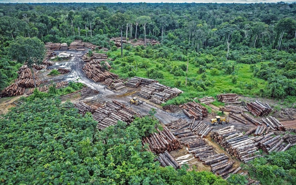 Amazonas’ skoger gir netto utslipp til klimakrisen