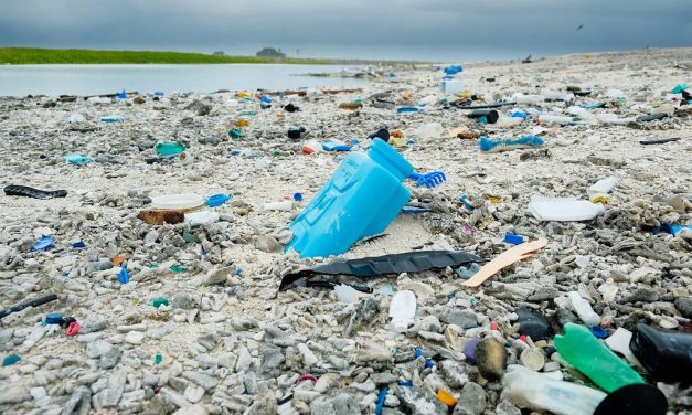 EU-forbud mot engangsbruk av plast