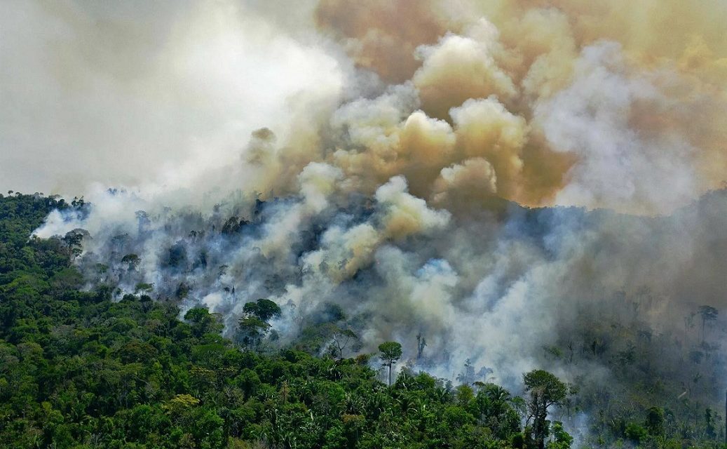 Avskoging av regnskogen i Amazonas størst på 15 år