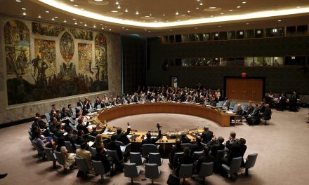 Møte i FNs sikkerhetsråd tilknyttet Ukraina