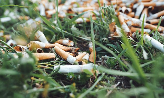 The tobacco industry is one of the world’s biggest environmental disruptors