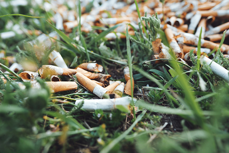 The tobacco industry is one of the world’s biggest environmental disruptors