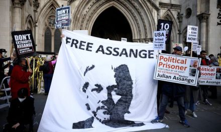Members of the German Bundestag are demanding the release of Julian Assange