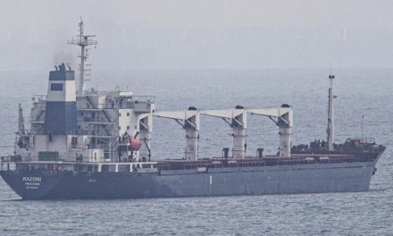 First ship with grain from Ukraine