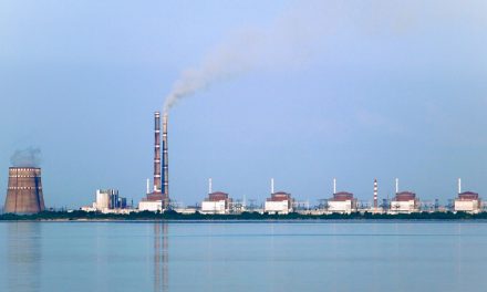 Inspection of the Zaporizhzhia nuclear plant