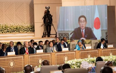 Japan investing $30 billion for human resource development in Africa