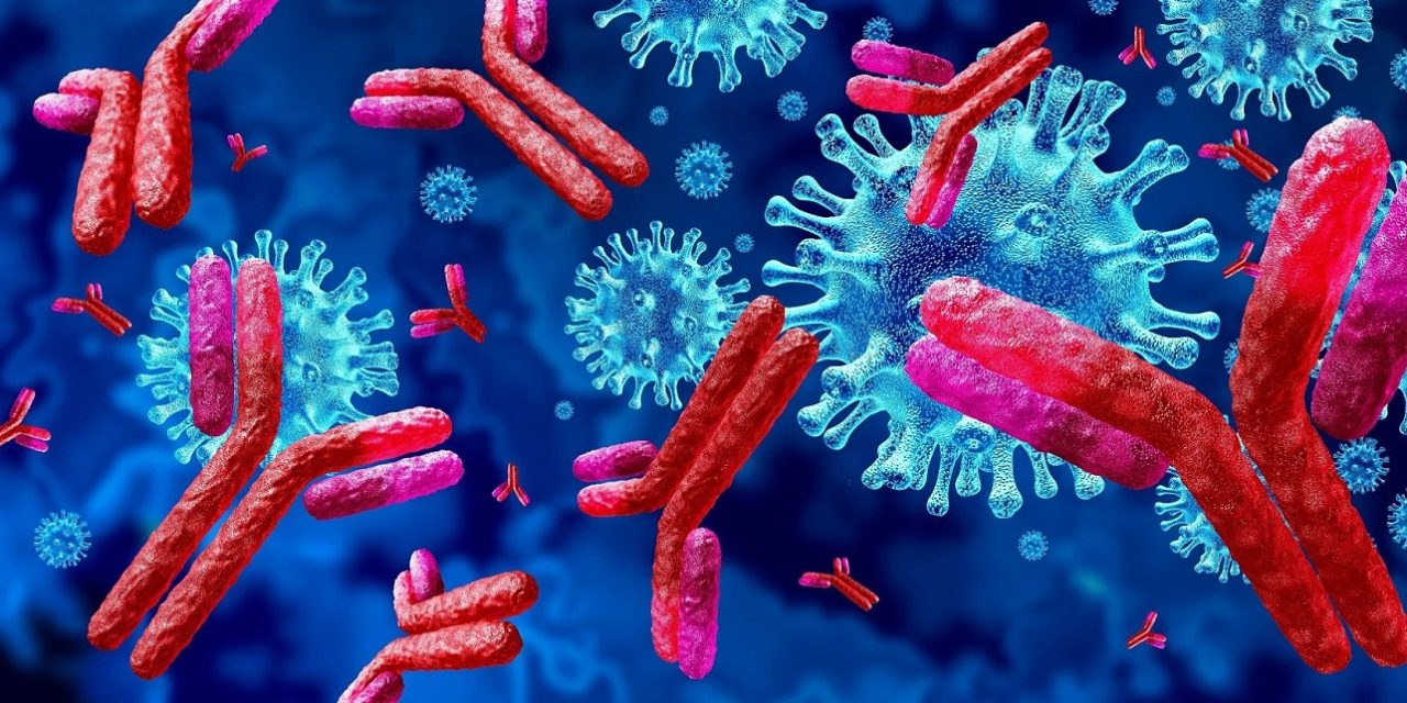 Antibody against all mutations of the Corona virus?