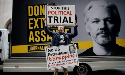 Only politicians can change Julian Assange’s fate