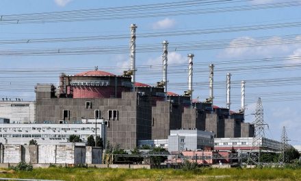 Zaporizhzhia nuclear power plant connected to Russia?