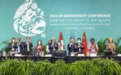 International agreements on conservation of biodiversity