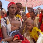Interim government in autonomous Tigray after peace agreement