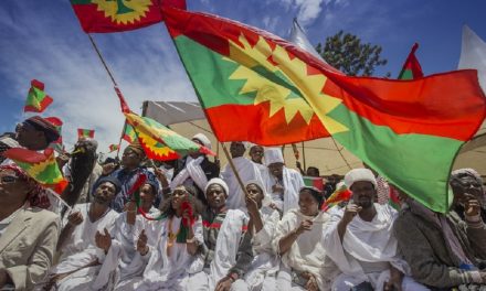 Peace talks with the Oromo rebel group in Ethiopia