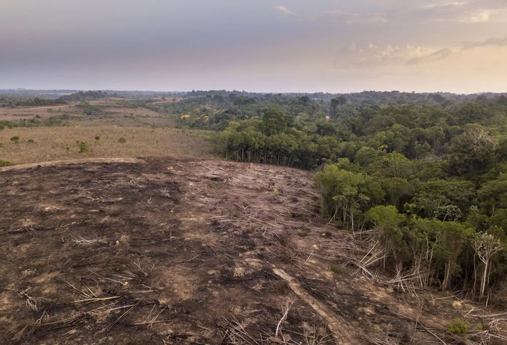 Amazonas feeling President da Silva’s return